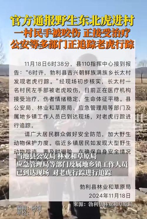 被东北虎咬伤的村民左手保住了，他只是骨折，无截肢风险