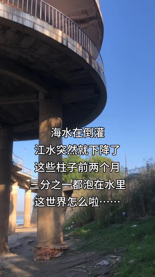 宁波发生江水倒灌，街边商户发声