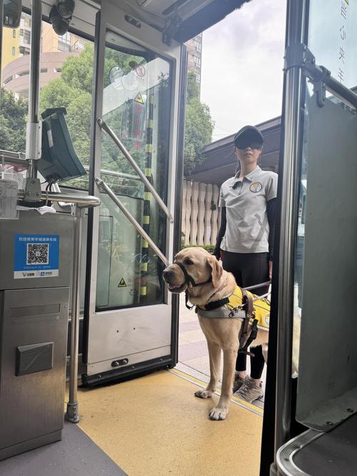 广州导盲犬学校开展国际盲人节活动